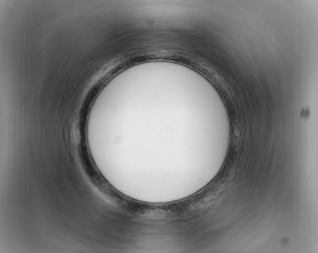 X0000102350734200808010935
