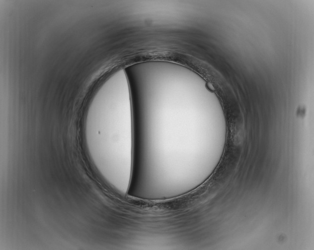 X0000102350735200808010935