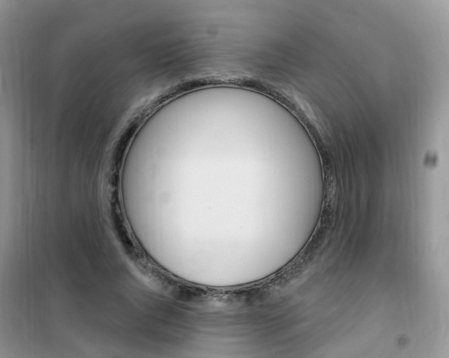 X0000102350736200808010935