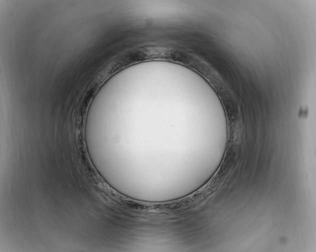 X0000102350737200808010935