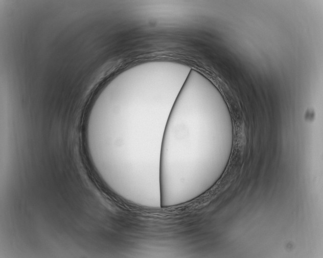 X0000102350738200808010935