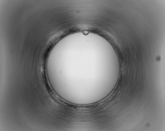X0000102350740200808010935
