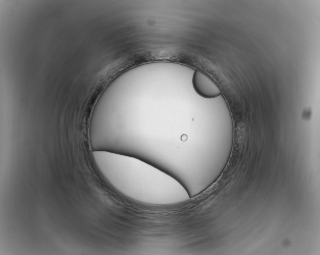 X0000102350741200808010935