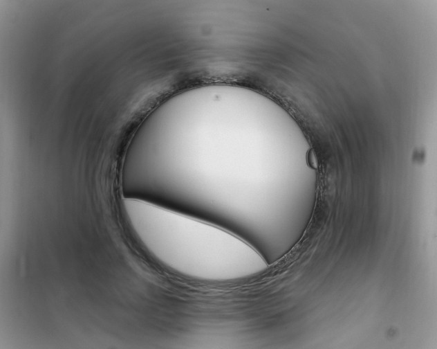 X0000102350742200808010935