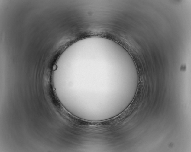 X0000102350744200808010935