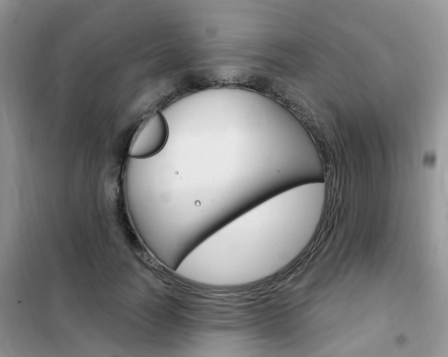 X0000102350746200808010935