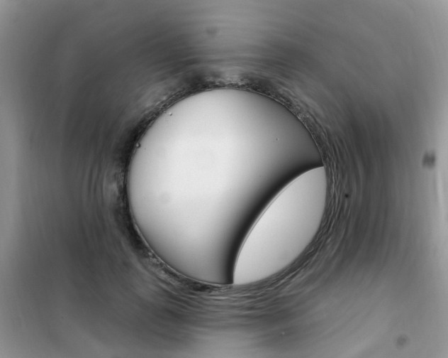X0000102350747200808010935