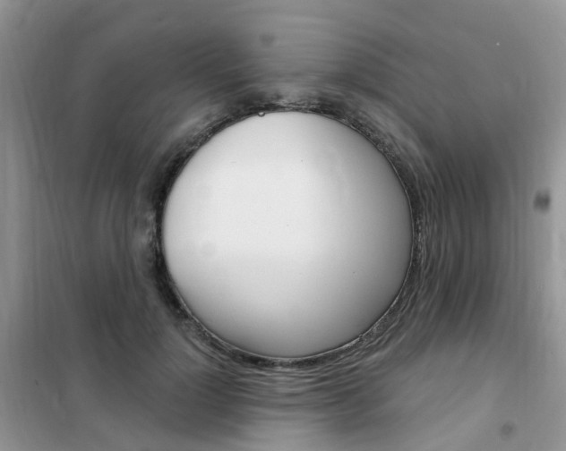 X0000102350748200808010935