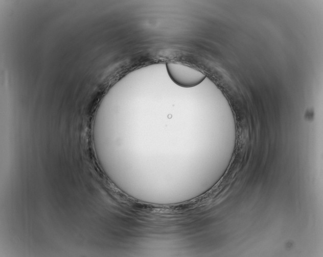 X0000102350749200808010935