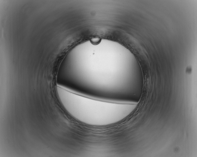 X0000102350750200808010935