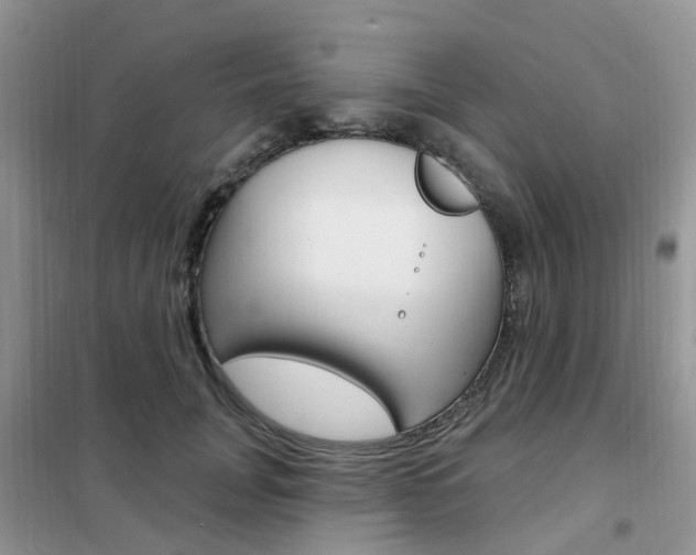 X0000102350751200808010935
