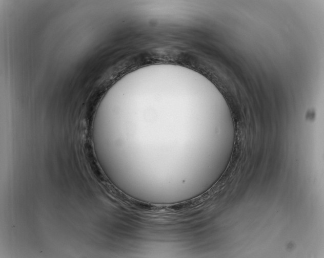 X0000102350752200808010935