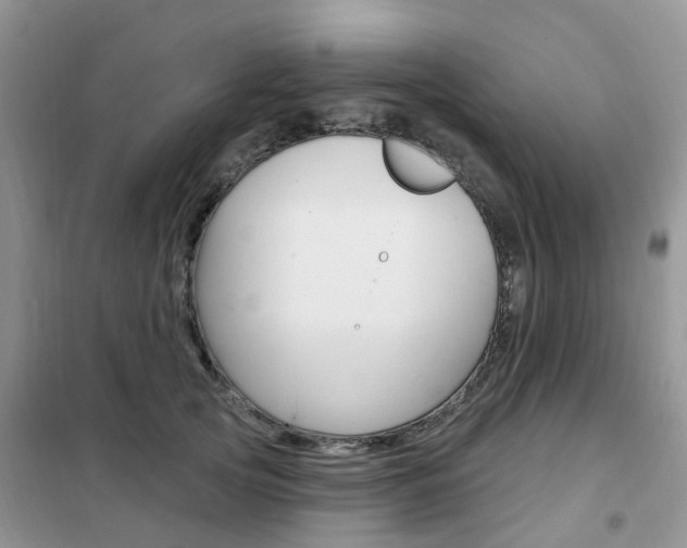X0000102350753200808010935