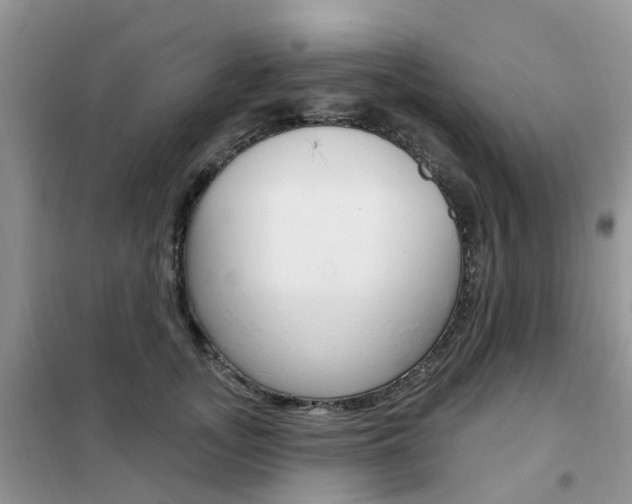 X0000102350755200808010935