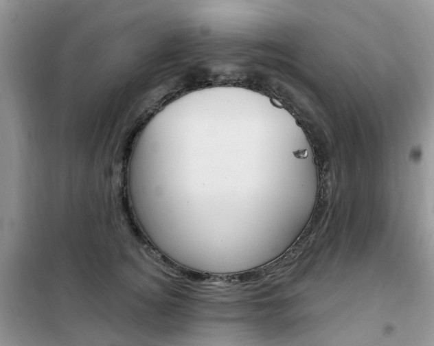 X0000102350756200808010935