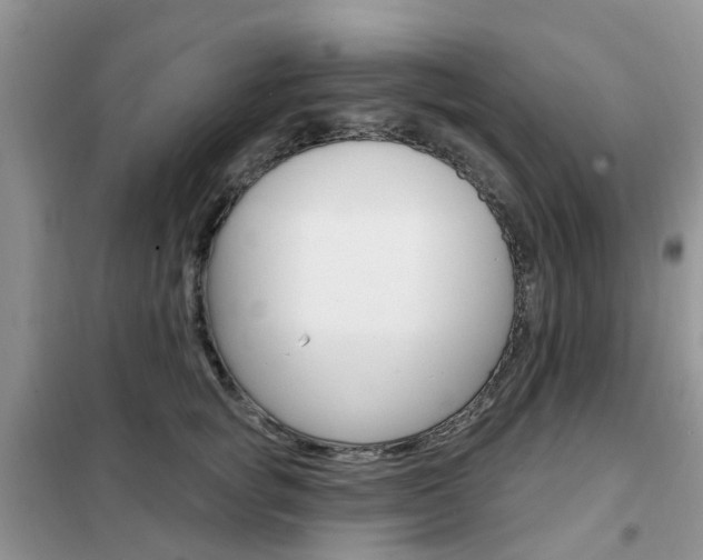 X0000102350757200808010935