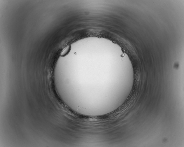 X0000102350759200808010935