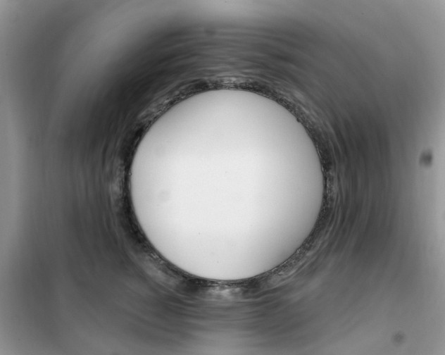 X0000102350760200808010935