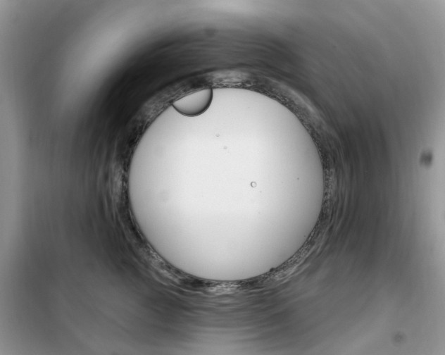 X0000102350761200808010935