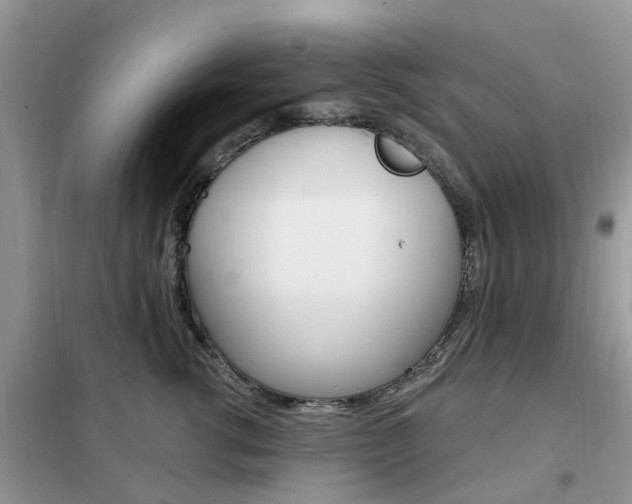 X0000102350762200808010935