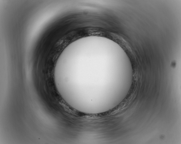 X0000102350763200808010935