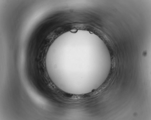 X0000102350764200808010935