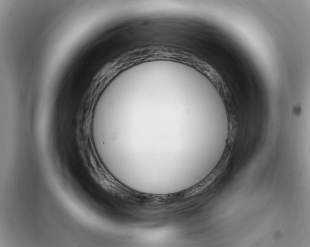 X0000102350765200808010935