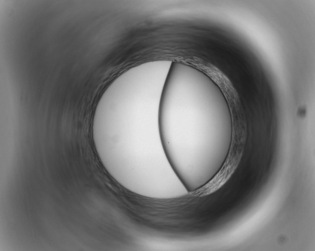 X0000102350766200808010935