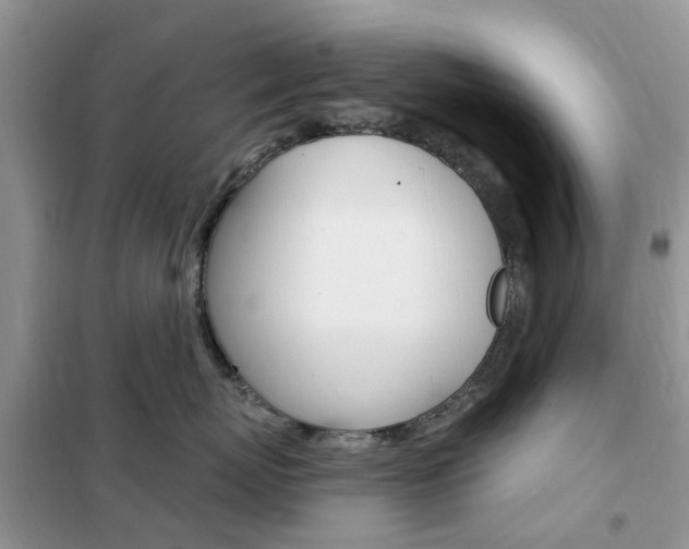 X0000102350767200808010935