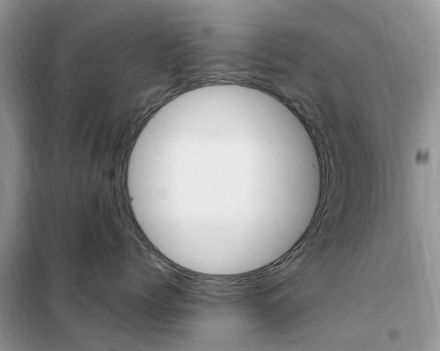 X0000102350768200808010935