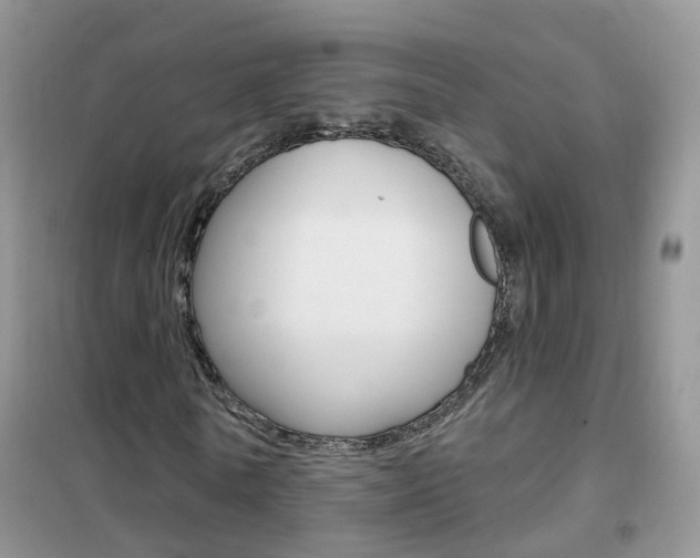 X0000102350770200808010935