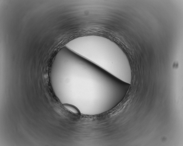 X0000102350771200808010935