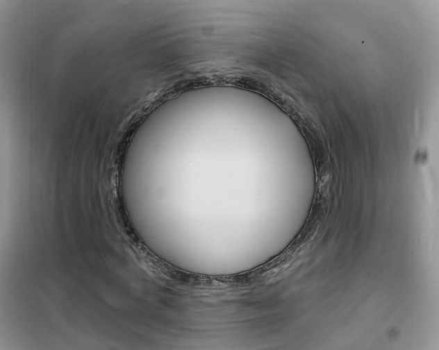 X0000102350772200808010935