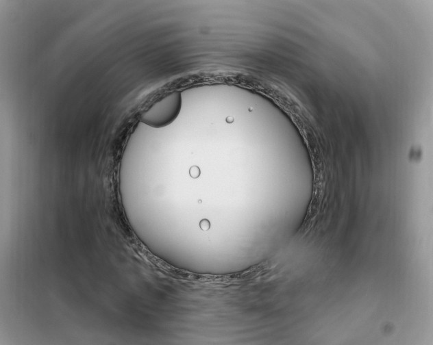 X0000102350773200808010935