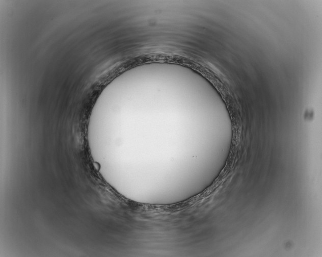 X0000102350774200808010935