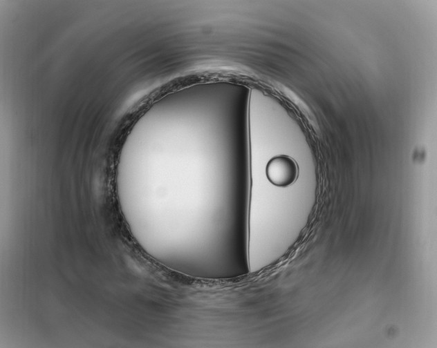 X0000102350775200808010935
