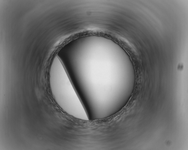 X0000102350776200808010935