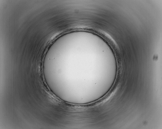 X0000102350777200808010935