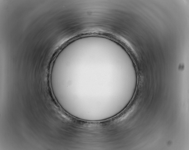 X0000102350778200808010935