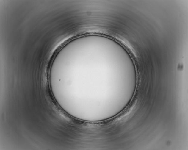 X0000102350782200808010934