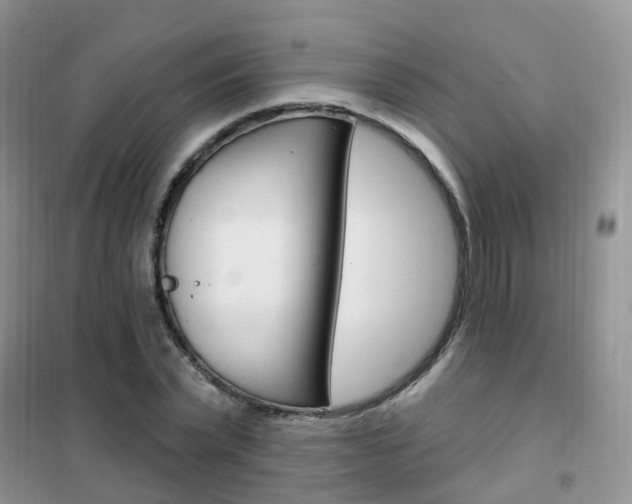 X0000102350783200808010934