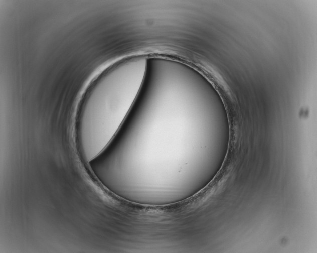 X0000102350784200808010934