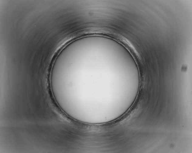 X0000102350786200808010934
