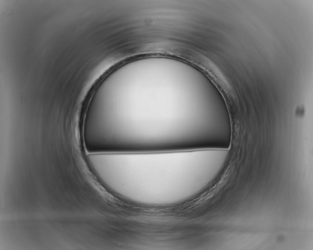 X0000102350788200808010934