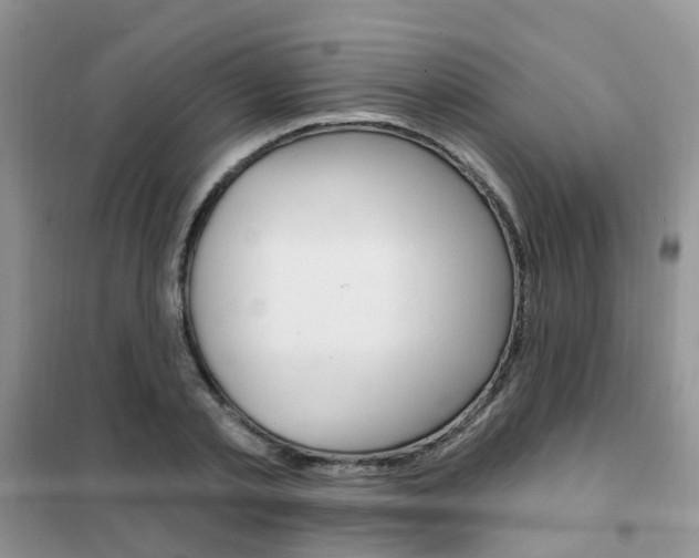 X0000102350789200808010934