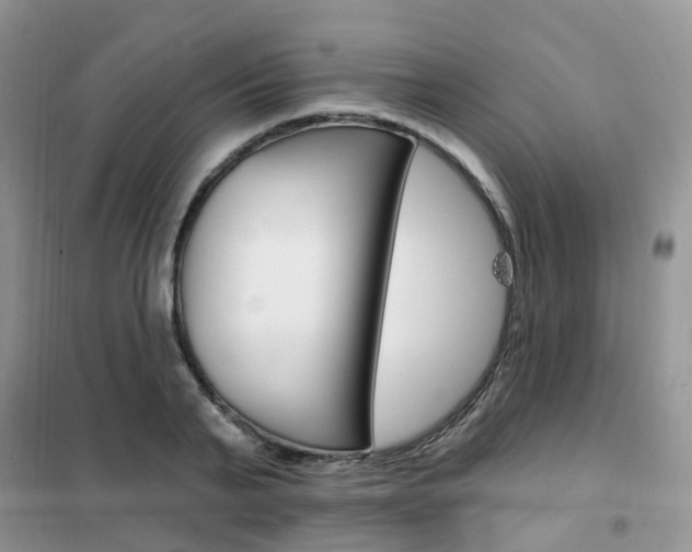 X0000102350791200808010934