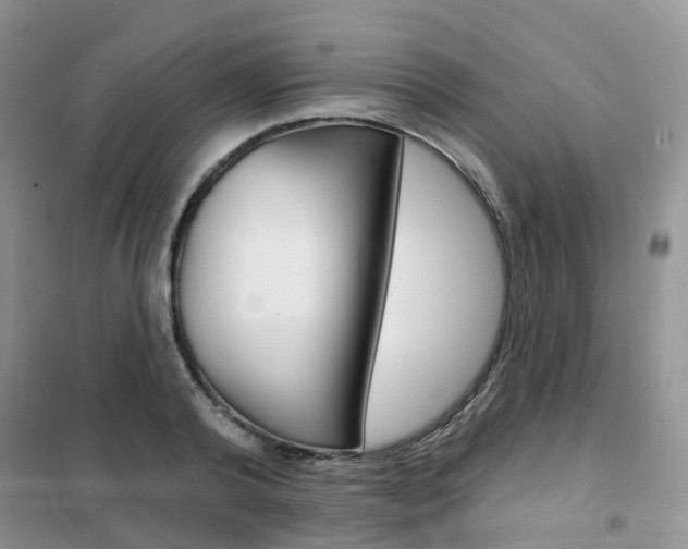 X0000102350792200808010934