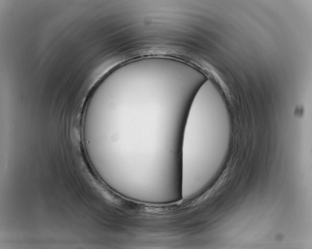X0000102350794200808010934