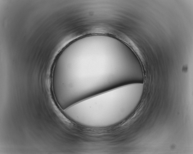 X0000102350795200808010934