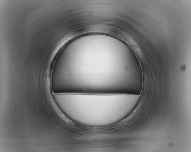 X0000102350796200808010934
